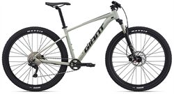 Xe đạp địa hình thể thao Giant Talon 29 1 2021